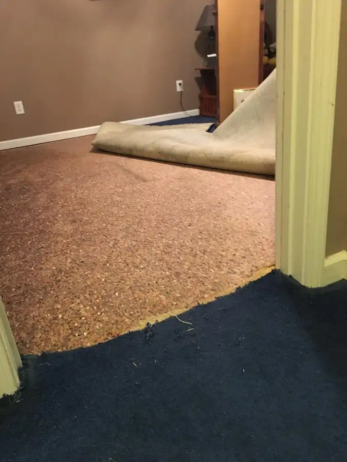 Carpet pad removal revealing water damage during Water Mitigation Services in East Rockhill